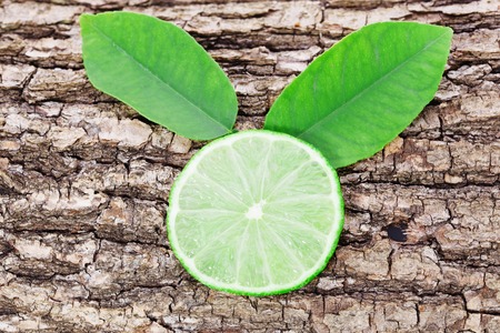Fresh lime with leaf on a bark of tree backgroundの写真素材