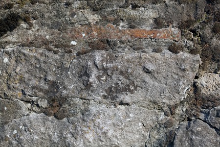 Texture of the stoneの写真素材