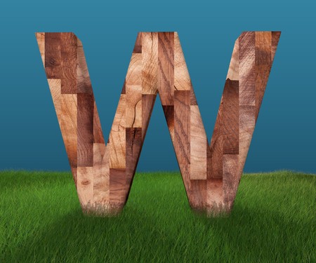 3D decorative wooden Alphabet on green Grass, capital letter Wの写真素材