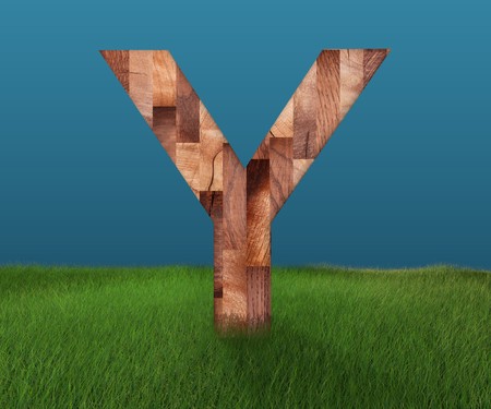 3D decorative wooden Alphabet on green Grass, capital letter Yの写真素材