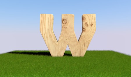 3D decorative wooden Alphabet on green Grass, capital letter Wの写真素材