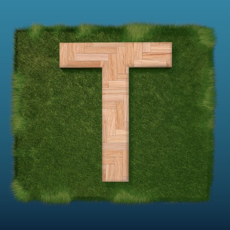 3D decorative wooden Alphabet on green Grass, capital letter Tの写真素材