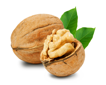 Walnuts with leaves isolated on white. With clipping path.の写真素材