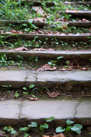 Stone stairs in the park, close-up of the steps.