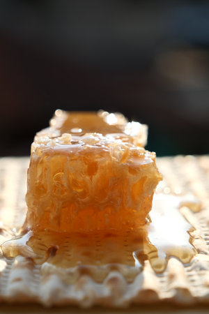 Honeycomb with honey on top, close-up photo