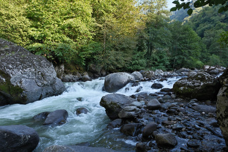 Mountain river in the forest. Beautiful landscape with a mountain river.