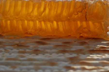 Jewish Passover matzah with honey. Honeycomb on a matzah.の写真素材