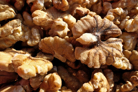 Shelled walnut kernels as a background, closeup of photo