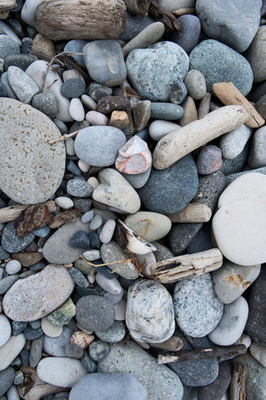 pebbles and shells on the beach, closeup of photoの写真素材