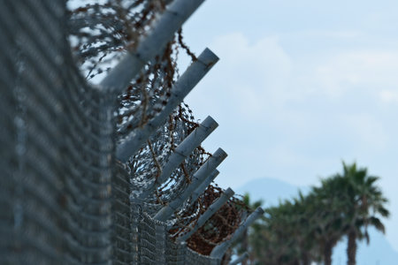 fence with chain link fence and palm tree on blue sky background