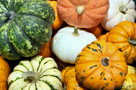 Colorful pumpkins collection on the autumn market. Seasonal background