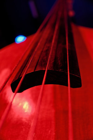 Close-Up of Double Bass Strings with Red and Blue Dramatic Lightingの写真素材
