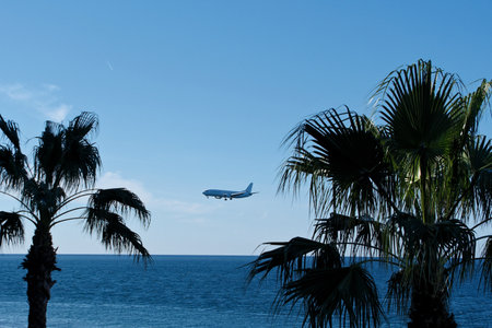 Airplane Framed by Palm Trees Flying Low Over Tropical Sea on Approach to Island Airport â Paradise Vacation Backgroundの写真素材