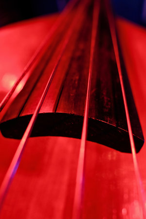 Close-up of double bass, wooden musical instrument that is played with a bowの写真素材