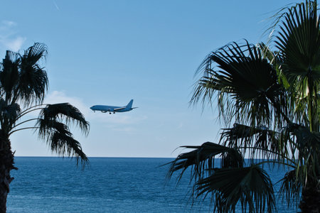 Airplane flying in the blue sky above the sea and palm treesの写真素材