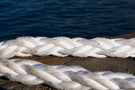 White Nautical Rope Lying on Asphalt Pier by the Sea