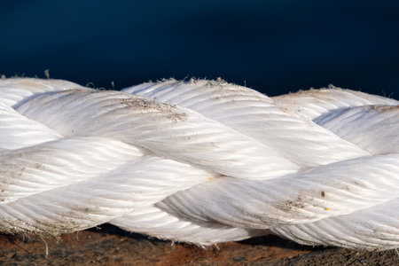 White Nautical Rope Lying on Asphalt Pier by the Sea