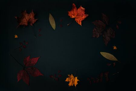 Autumn composition of dead leaves isolated. Copy space. Top view on dry leaves. Black background.