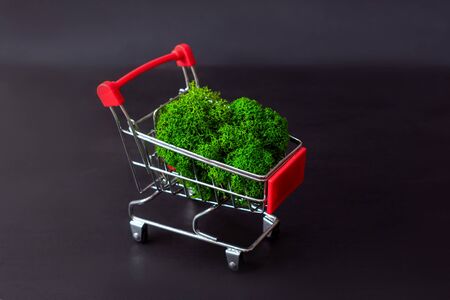 Natural green moss in food basket on black background. Front view.の写真素材