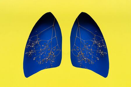 Lungs symbol paper art with dry branches, blue and yellow. World tuberculosis day. Health care, medicine, lung cancer, internal donor organ and stop smoking campaign.の写真素材