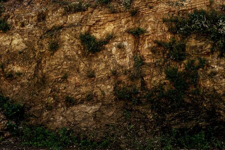 Close-up view of relief cliff with plants in Georgia. Nature backgrond.