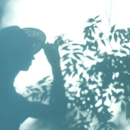 Woman in hat shadow and green leaves on blue background. Summer hipster concept.の写真素材