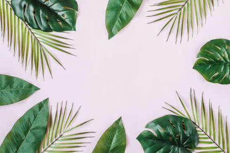 Tropical Jungle Leaves frame with copy space in centre. Pink background.の写真素材