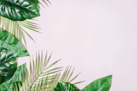 Tropical Jungle Leaves frame with copy space in center. Pink background.