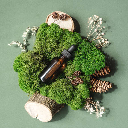 Top view of bottle with pipette in green moss on green background. Alternative medicine, herbal...