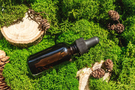 Top view of bottle with pipette in green moss. Alternative medicine, herbal essence, sustainable lifestyle concept.の写真素材