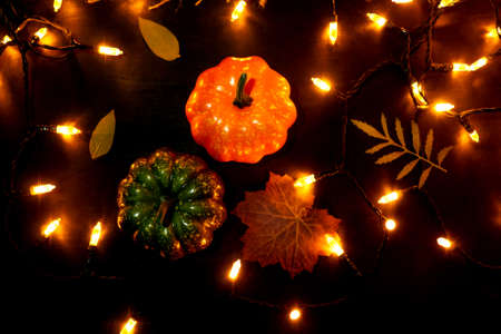 Halloween pumpkins and leaves with electric garland in dark. Halloween and autumn concept.