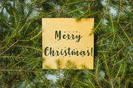Merry Christmas lettering on golden background with evergreen tree branches creative layout. Nature...