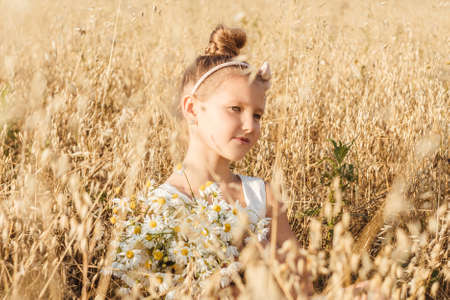 Portrait of Little girl in field, sunset light. Golden dry grass around.の写真素材