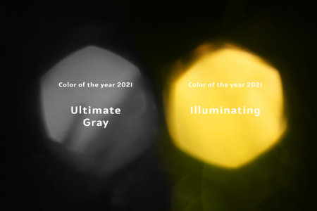 Yellow and gray two macro bokeh, blurred abstract background. Color 2021 name in each circle.の写真素材