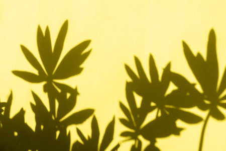 Abstract gray leaves shadow on yellow background. Summer hipster concept. Copy space, color 2021.の写真素材