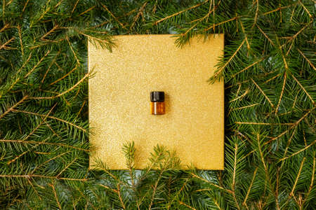 Tester aroma oil pine needles spruce. Pine fir twigs green fresh herbal extract bottle aromatherapy healthy organic oil soft focusの写真素材