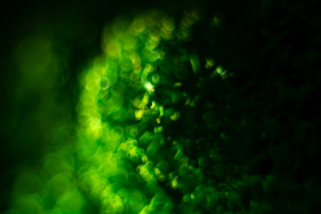 St. Patrick day background. Blurred macro moss in dark. Copy space.の写真素材