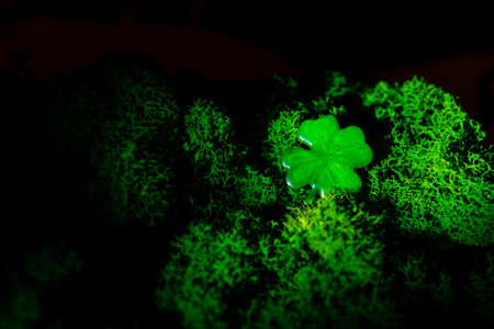 St. Patrick day background. Lucky clover in natural moss in dark. Top view, copy space.の写真素材
