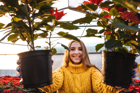 Woman in greenhouse in yellow sweater hold poinsettia in pots and smile.の写真素材