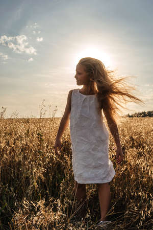 Portrait of Little girl in field, sunset light. Golden dry grass around.の写真素材