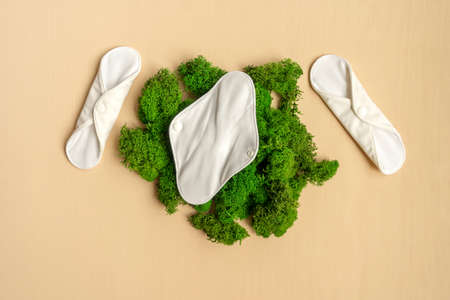 Reusable eco natural pads with green moss.の写真素材