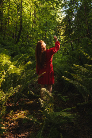 The young woman in green fern forest.の写真素材
