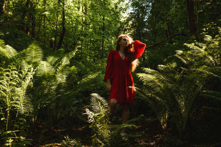 The young woman in green fern forest.の写真素材