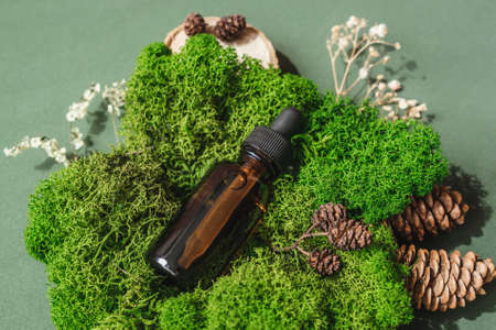 Top view of bottle with pipette in green moss on green background. Alternative medicine, herbal essence, sustainable lifestyle concept.の写真素材