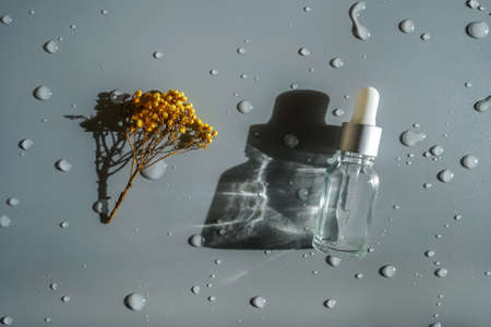 top view of glass face serum bottleの写真素材