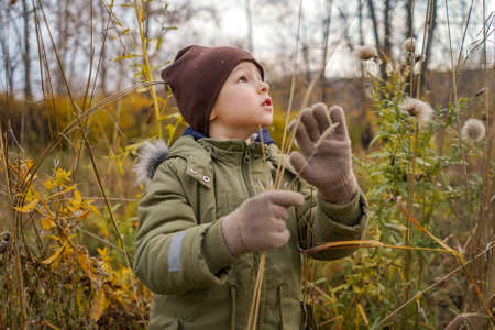 Young happy toddler boy stand on walk in grass, autumn.の写真素材