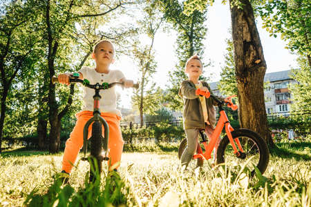 Two boys riding balance bikes in park.の写真素材