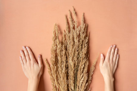 Beautiful female hands with natural manicure near grass.の写真素材