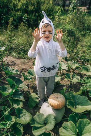 Little Boy in Halloween ghost costume. Garden.の写真素材