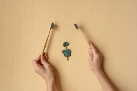 Zero-waste, biodegradable bamboo toothbrush on beige backgroundの写真素材